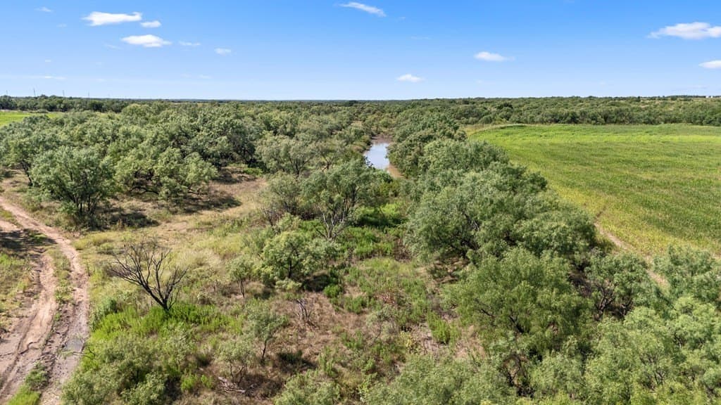 157.5 acres in Coleman County featured view