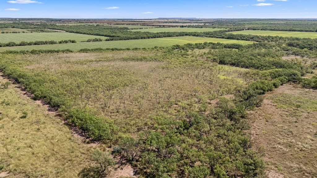 157.5 acres in Coleman County gallery image 4