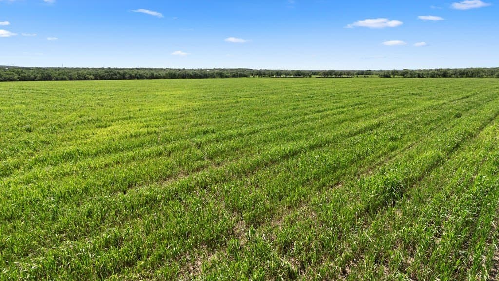 157.5 acres in Coleman County gallery image 3