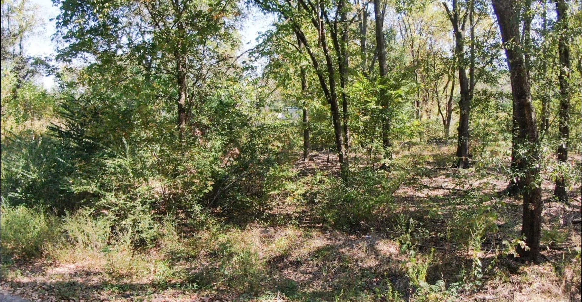 0.12 acres in Texas County gallery image 3