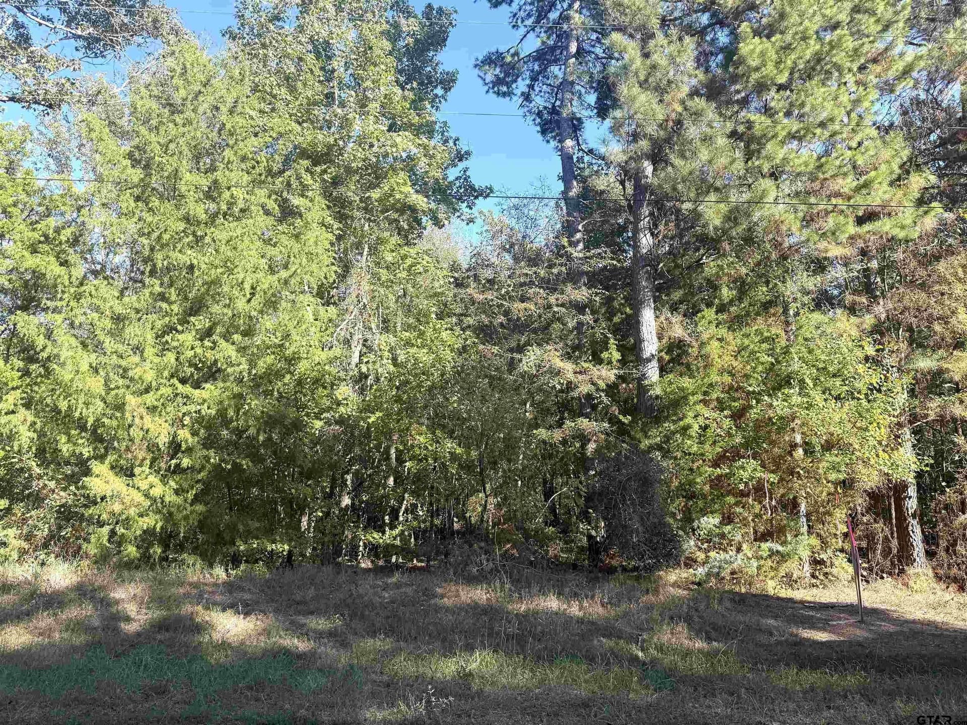 20 acres in Cherokee County - photo 6