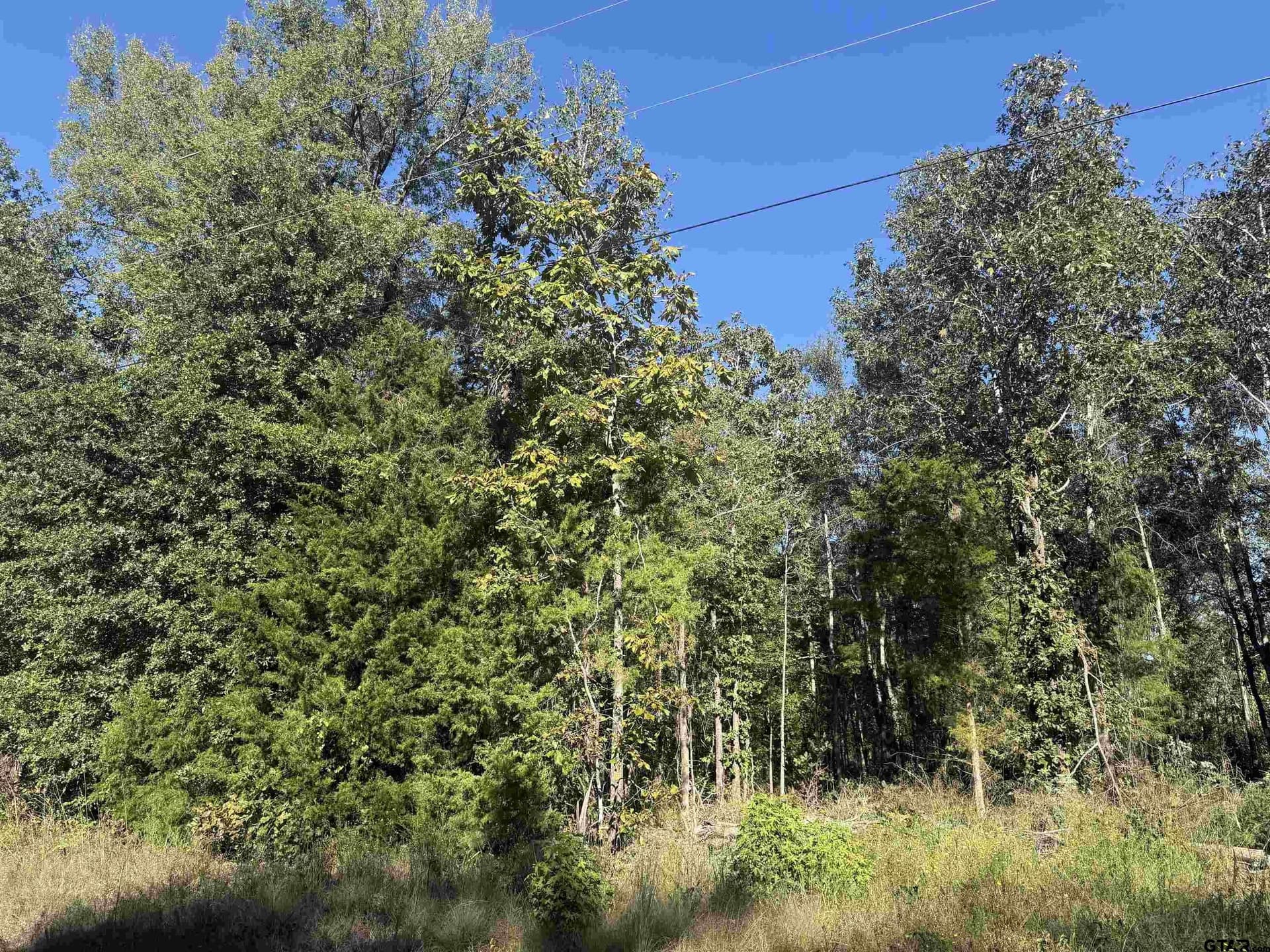 20 acres in Cherokee County - photo 2