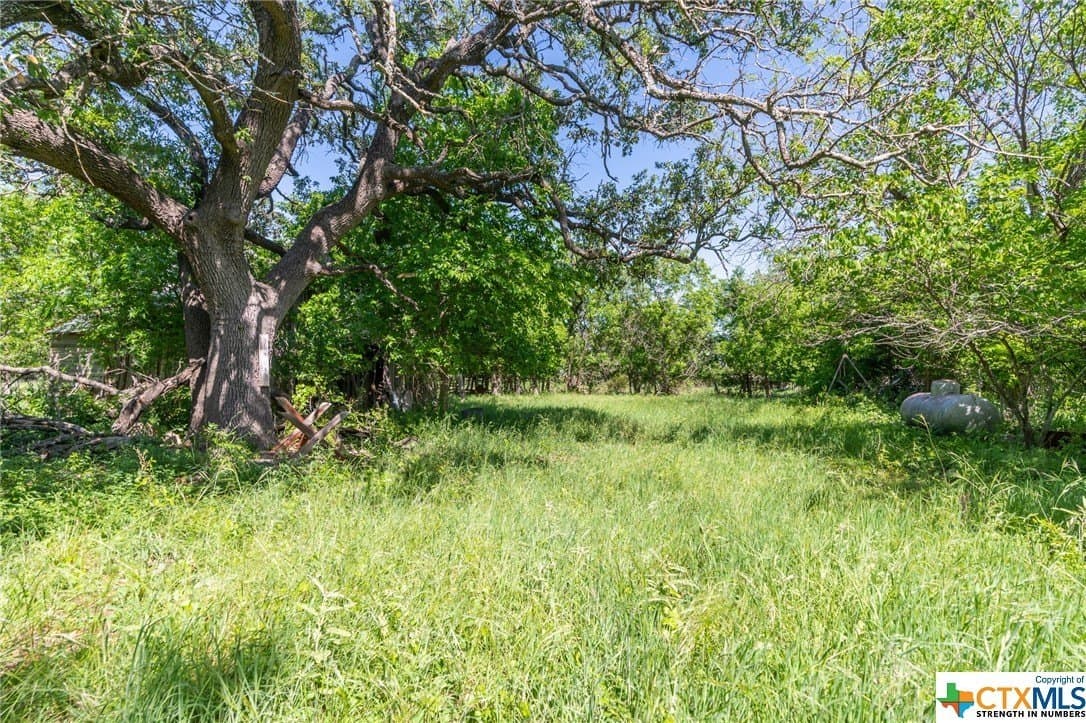 58.51 acres in Coryell County - photo 7