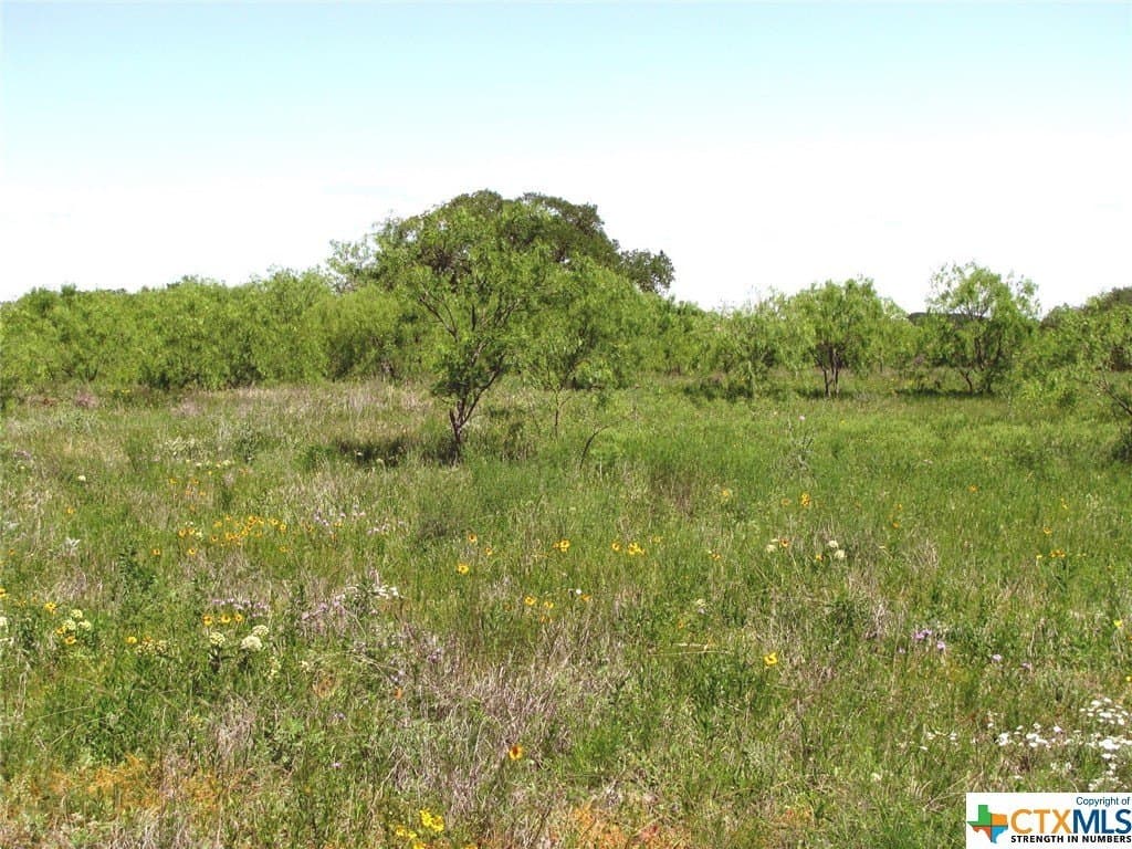 58.51 acres in Coryell County - photo 36