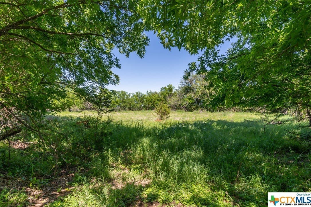 58.51 acres in Coryell County - photo 20