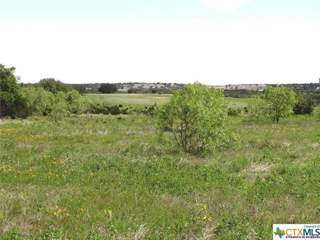 58.51 acres in Coryell County - photo 33
