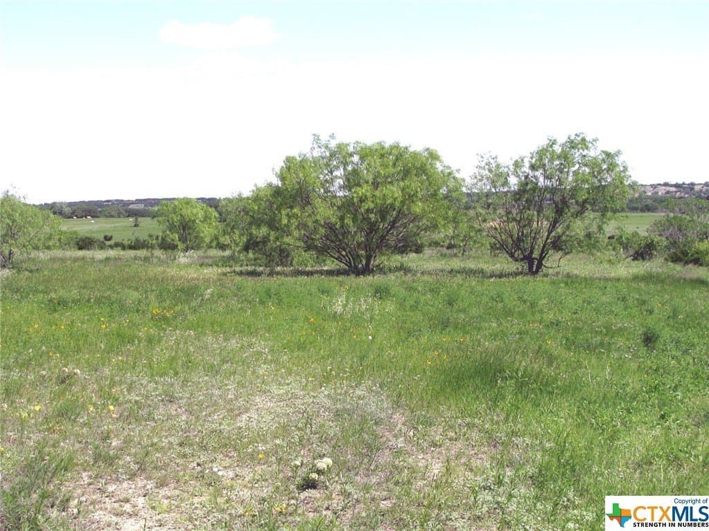 58.51 acres in Coryell County - photo 35
