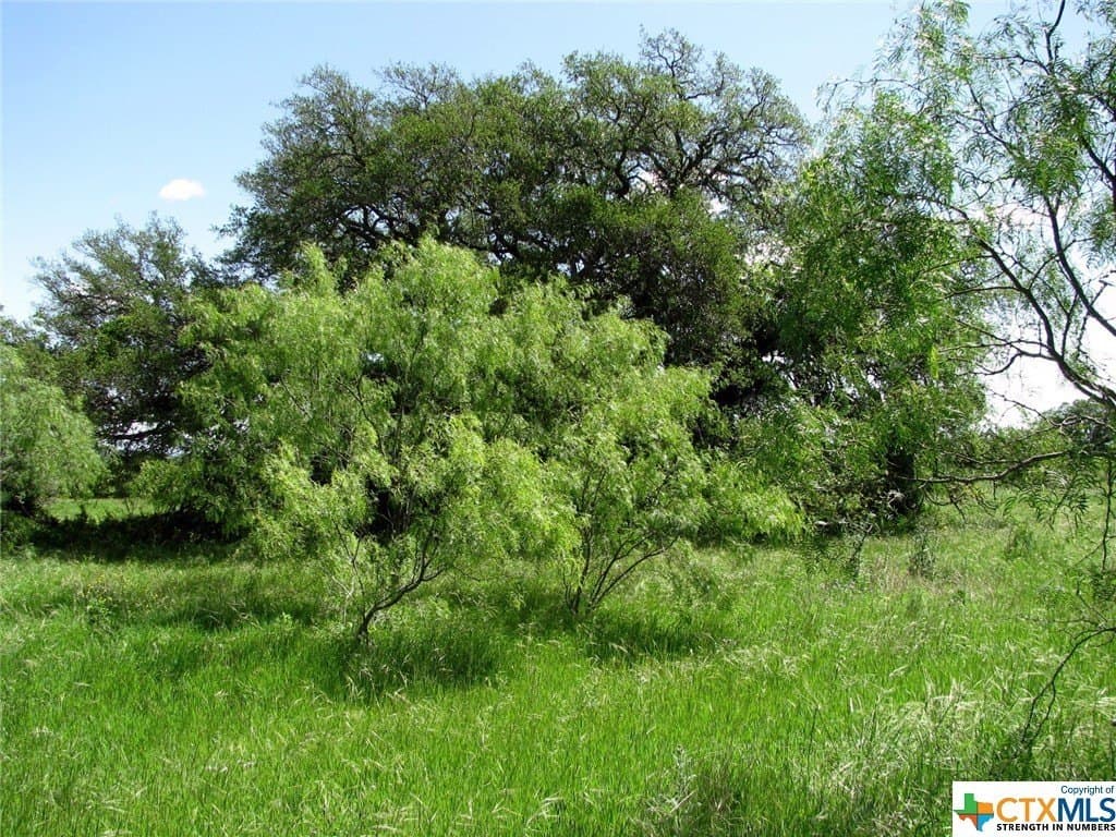 58.51 acres in Coryell County - photo 31