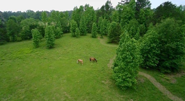 10.59 acres in Trinity County featured view