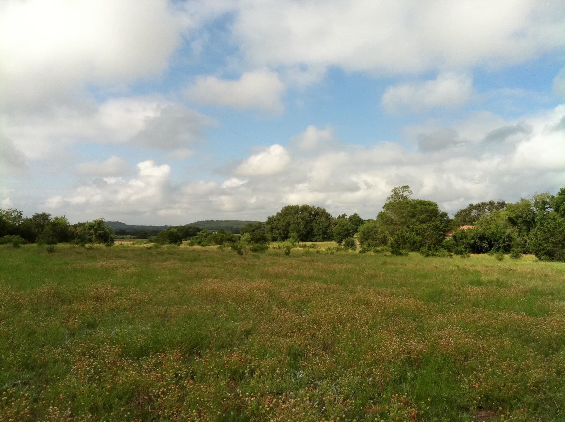 17.8 acres in Burnet County gallery image 3