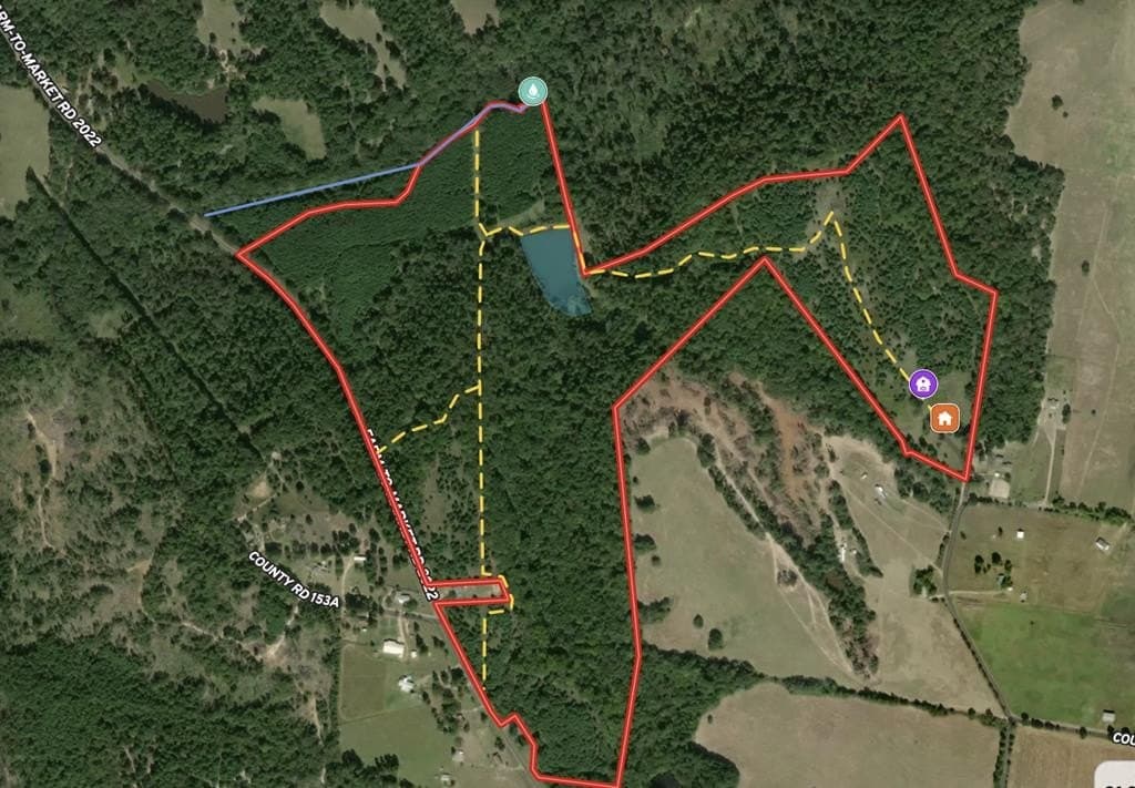 170.49 acres in ANDERSON County gallery image 2