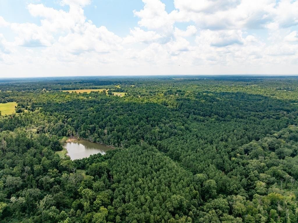 170.49 acres in ANDERSON County gallery image 3