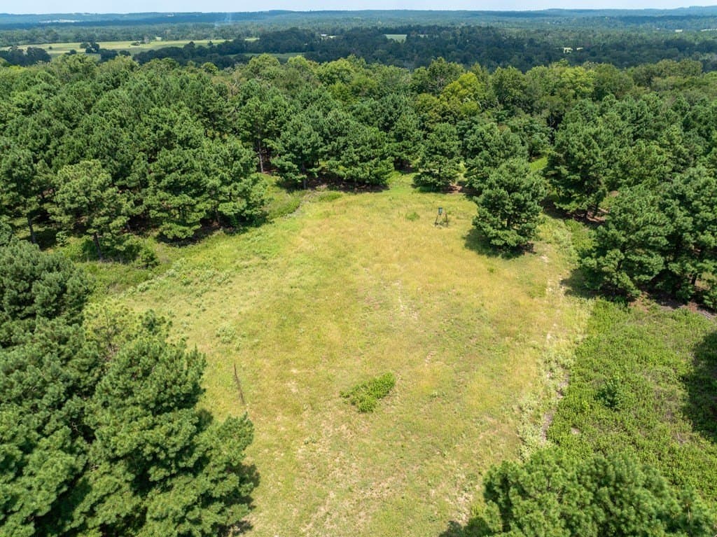 170.49 acres in ANDERSON County gallery image 4