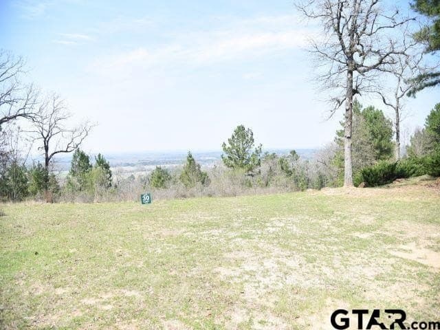 0.9 acres in Anderson County gallery image 3