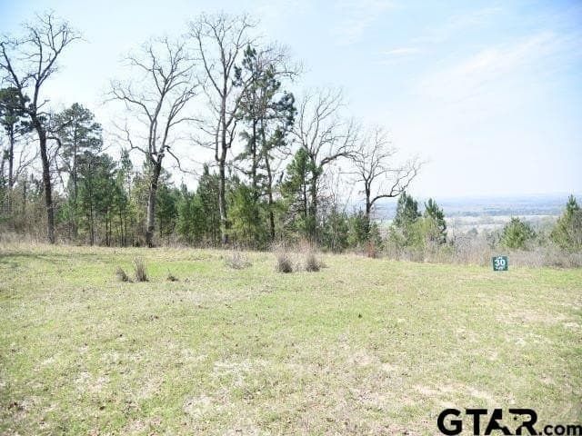 0.9 acres in Anderson County gallery image 4