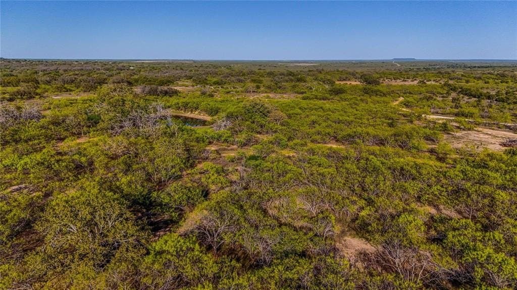 291 acres in Coleman County featured view