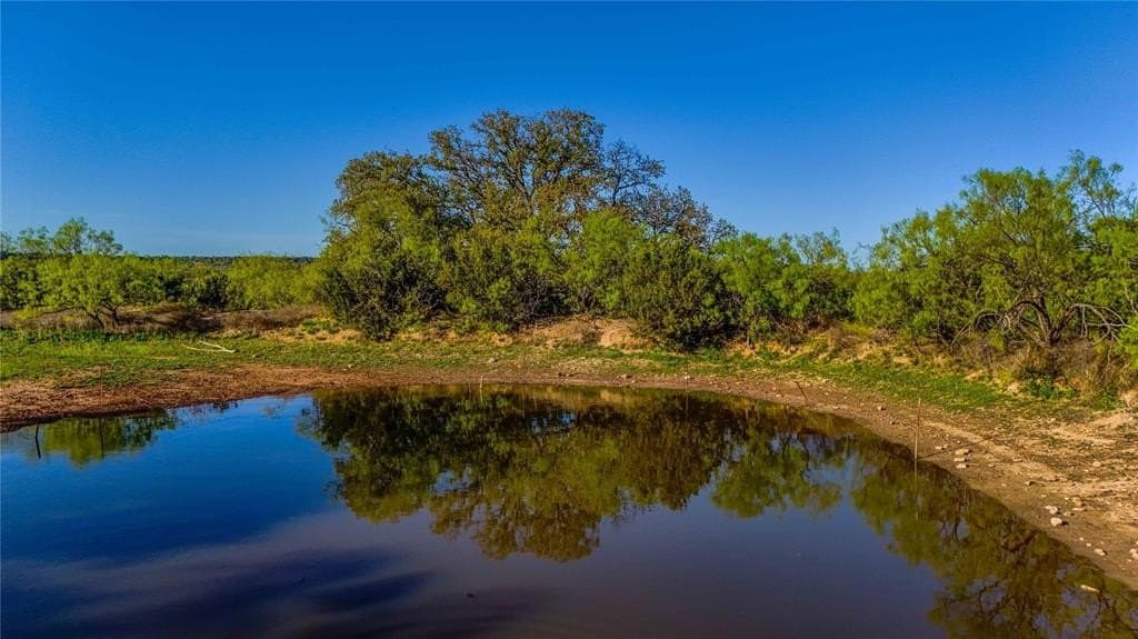 291 acres in Coleman County gallery image 4