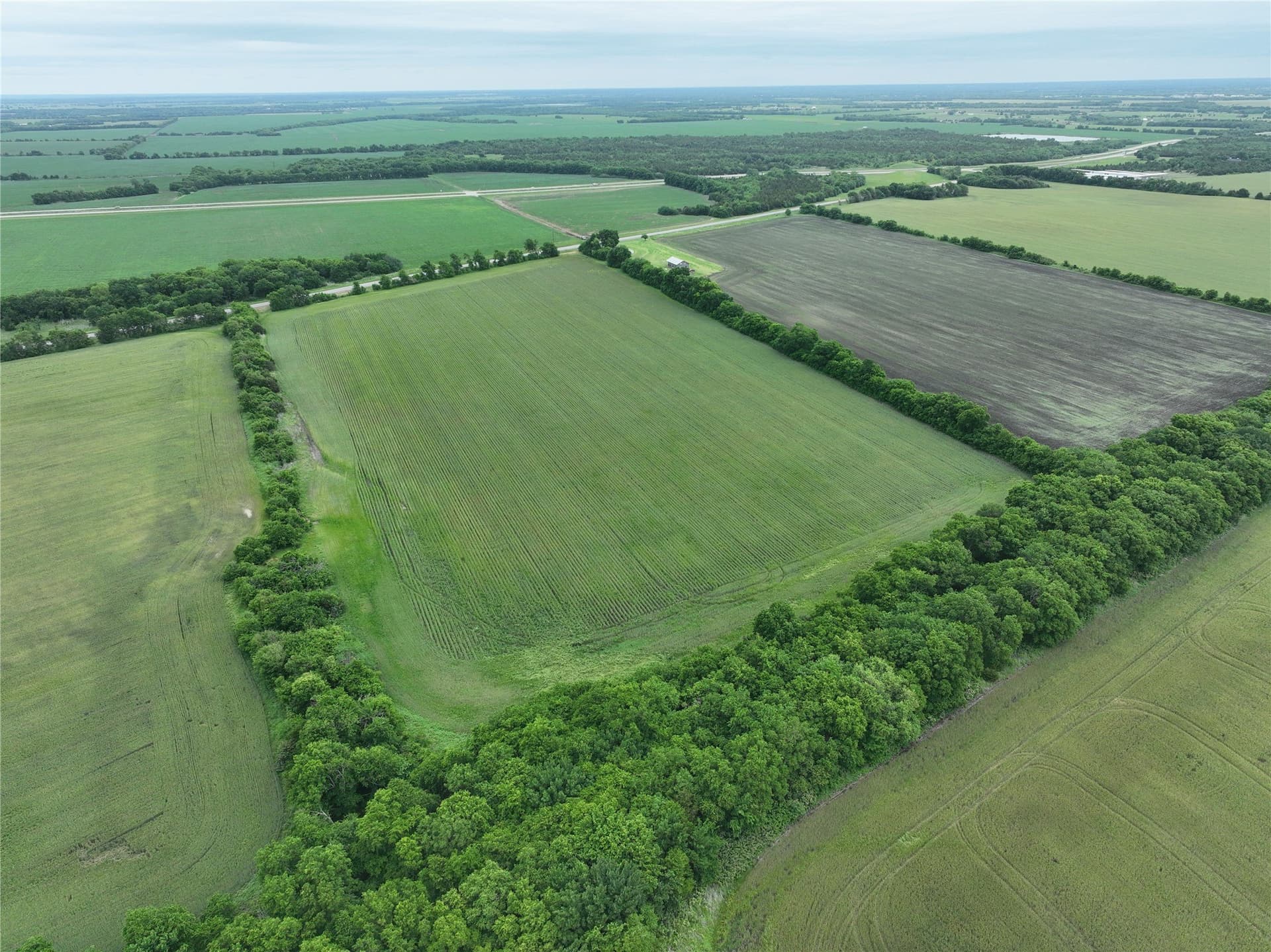 27 acres in Fannin County gallery image 3