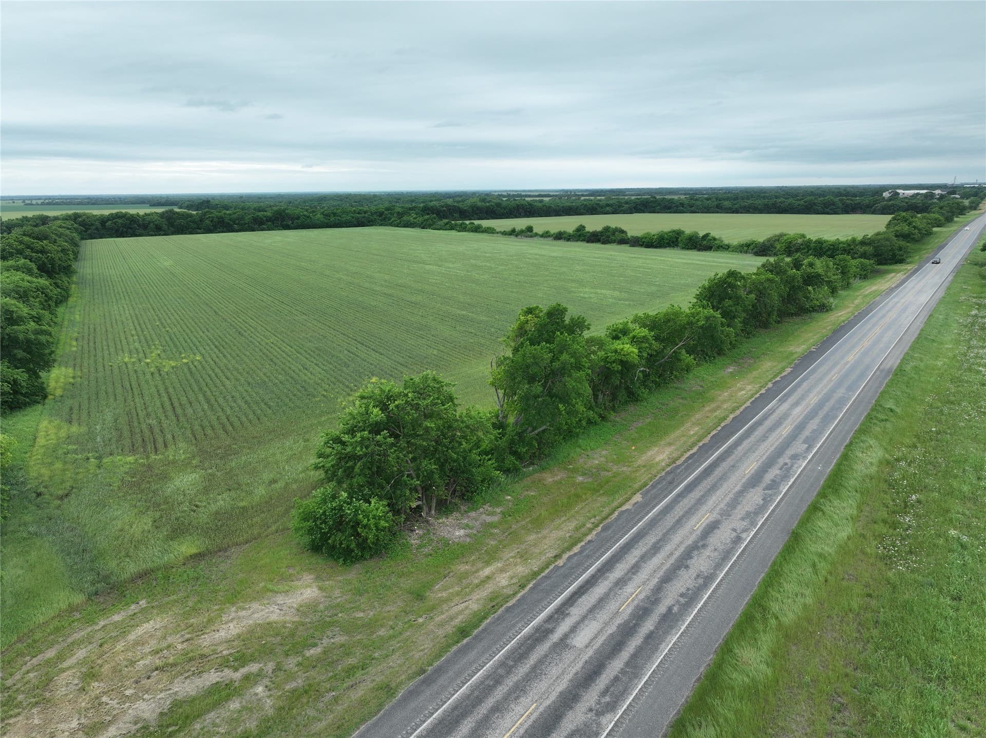 27 acres in Fannin County - photo 8