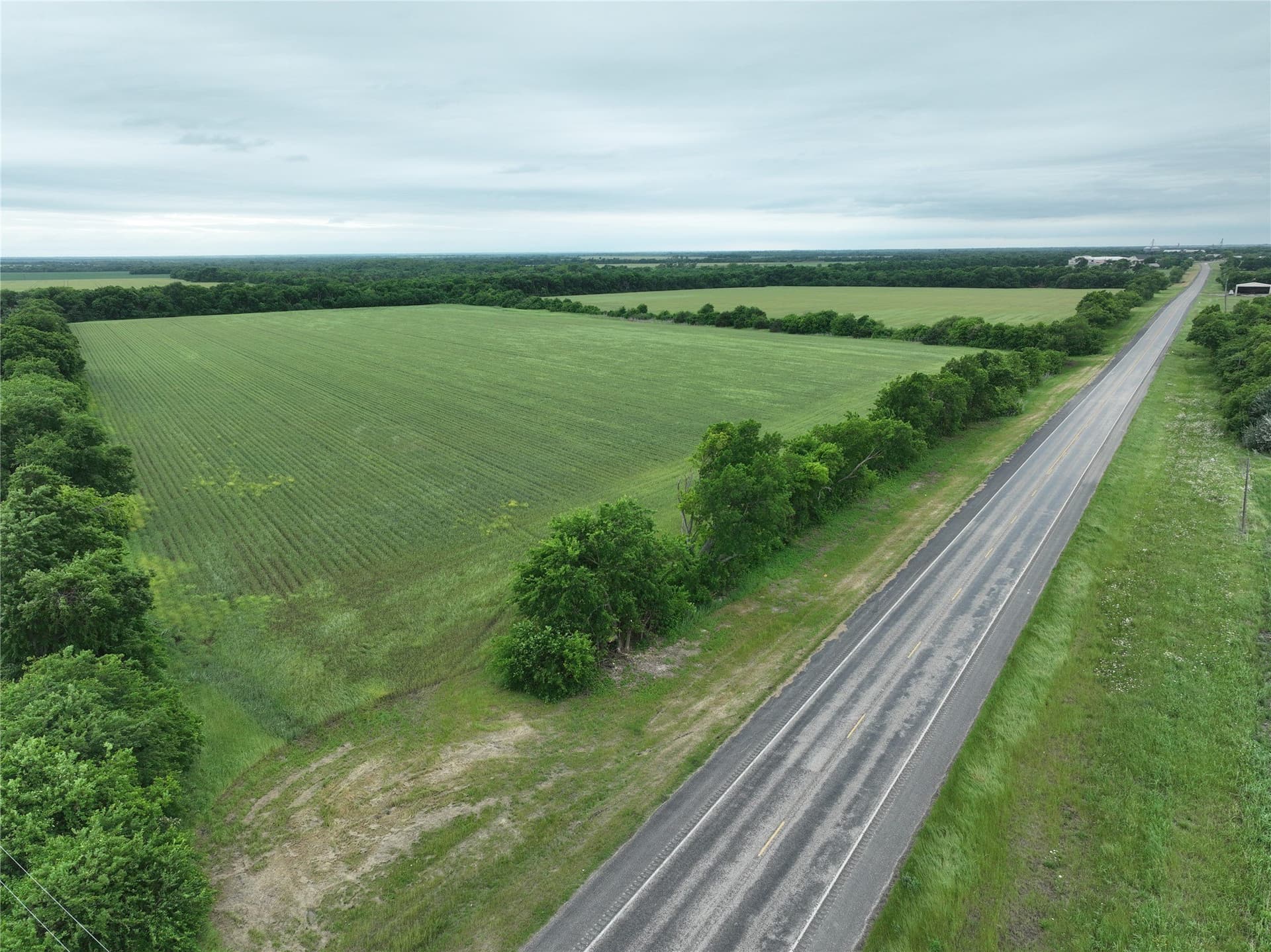 27 acres in Fannin County - photo 9