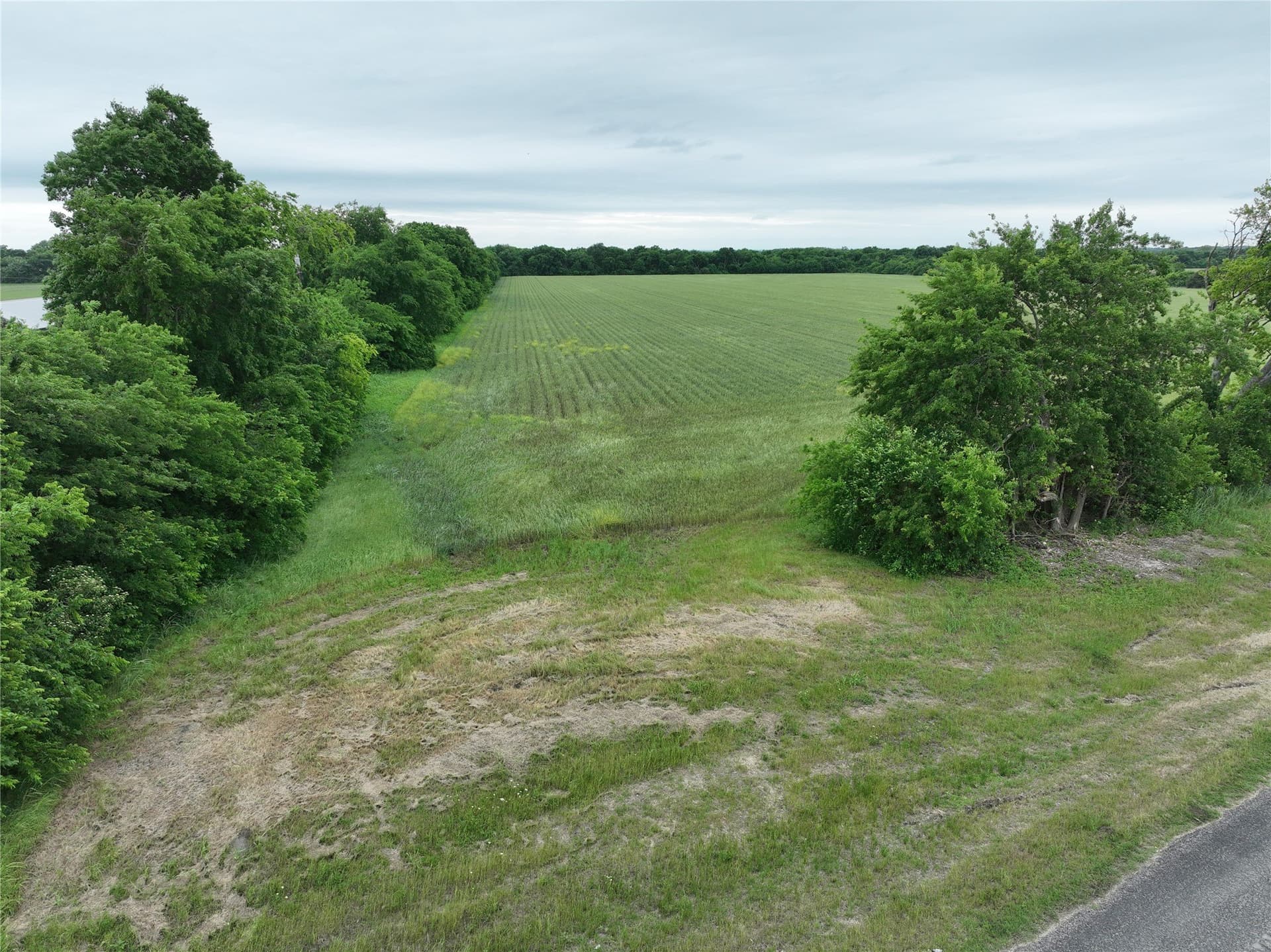 27 acres in Fannin County - photo 10