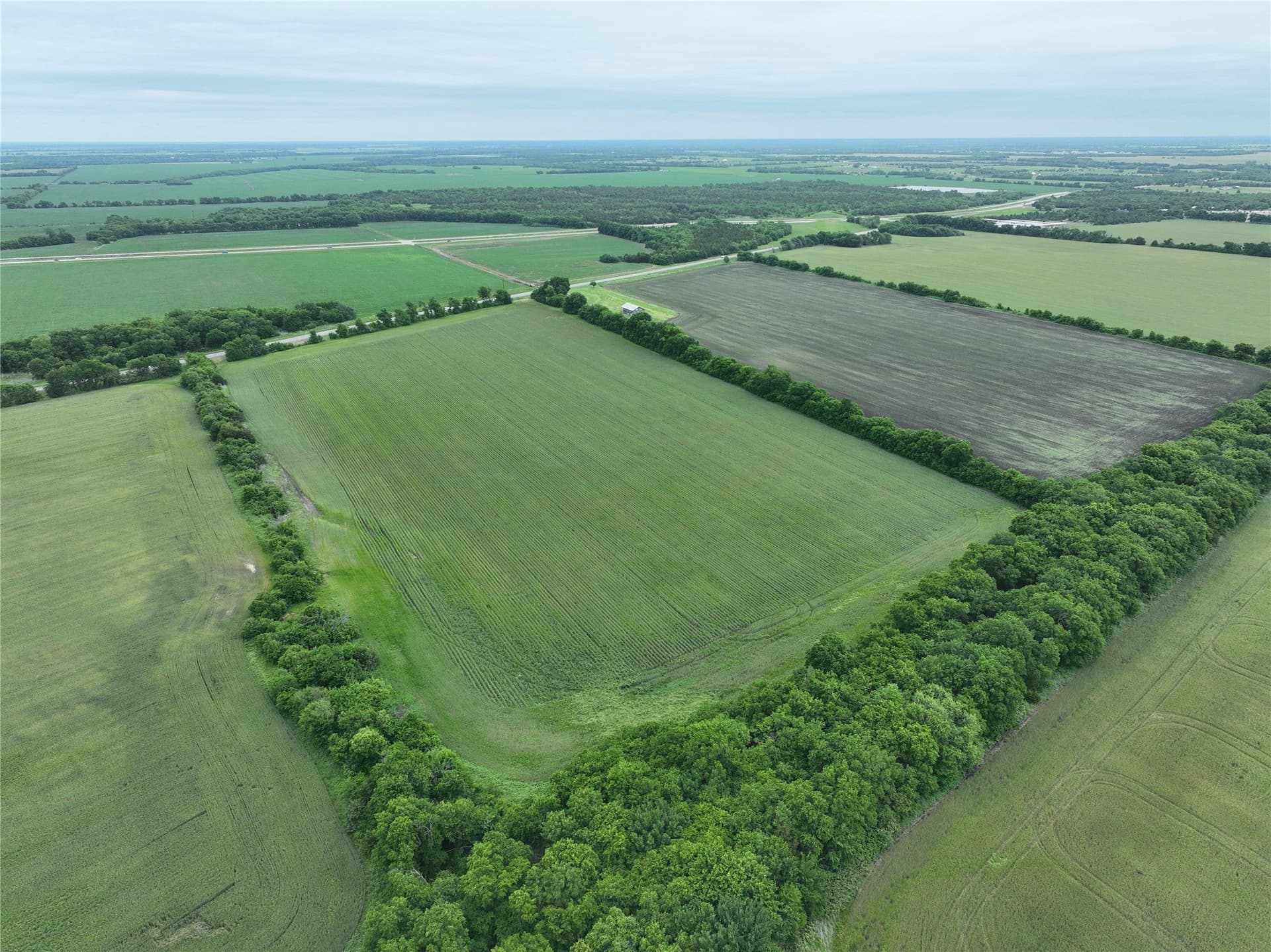 27 acres in Fannin County featured view