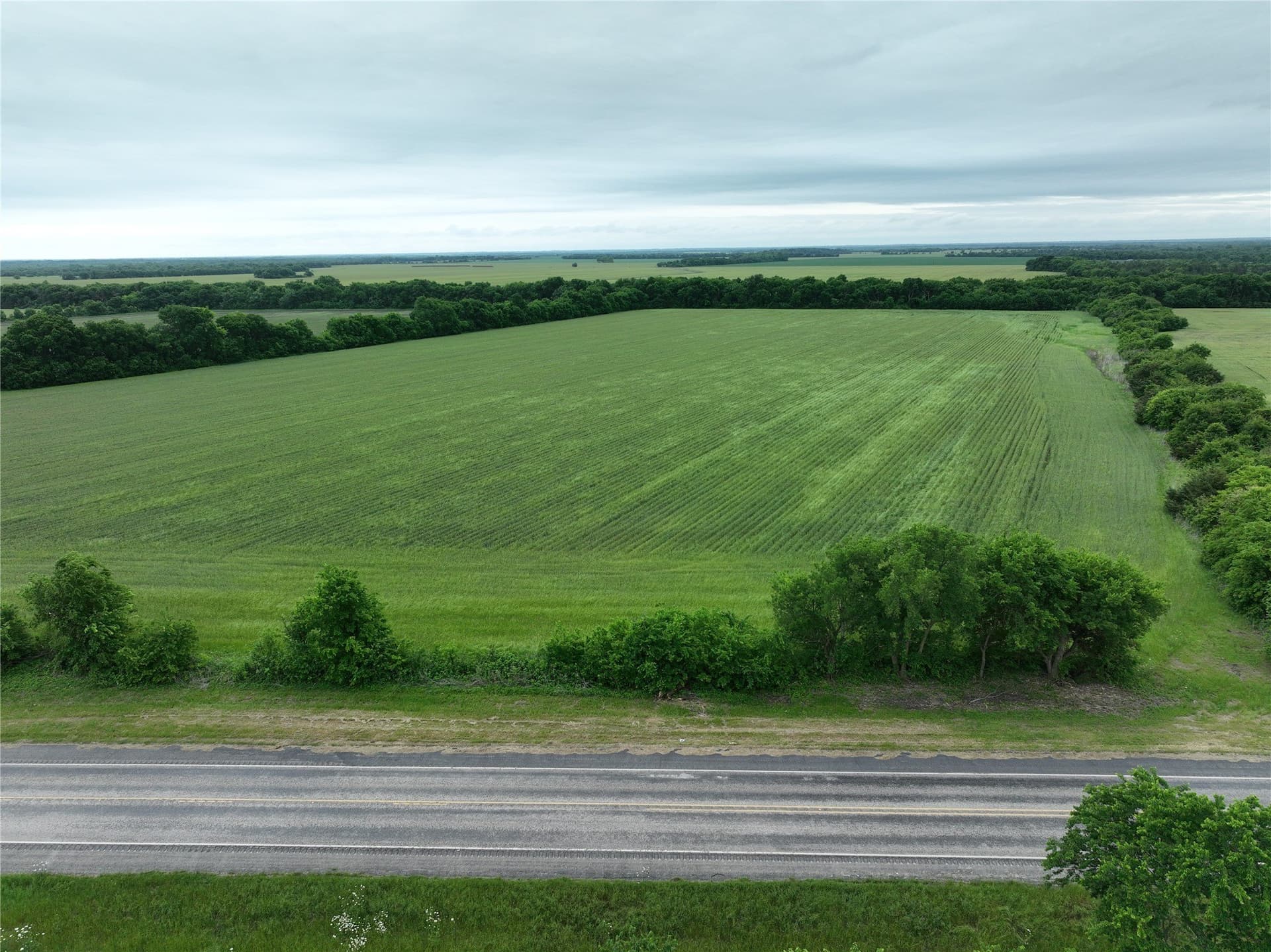 27 acres in Fannin County - photo 7