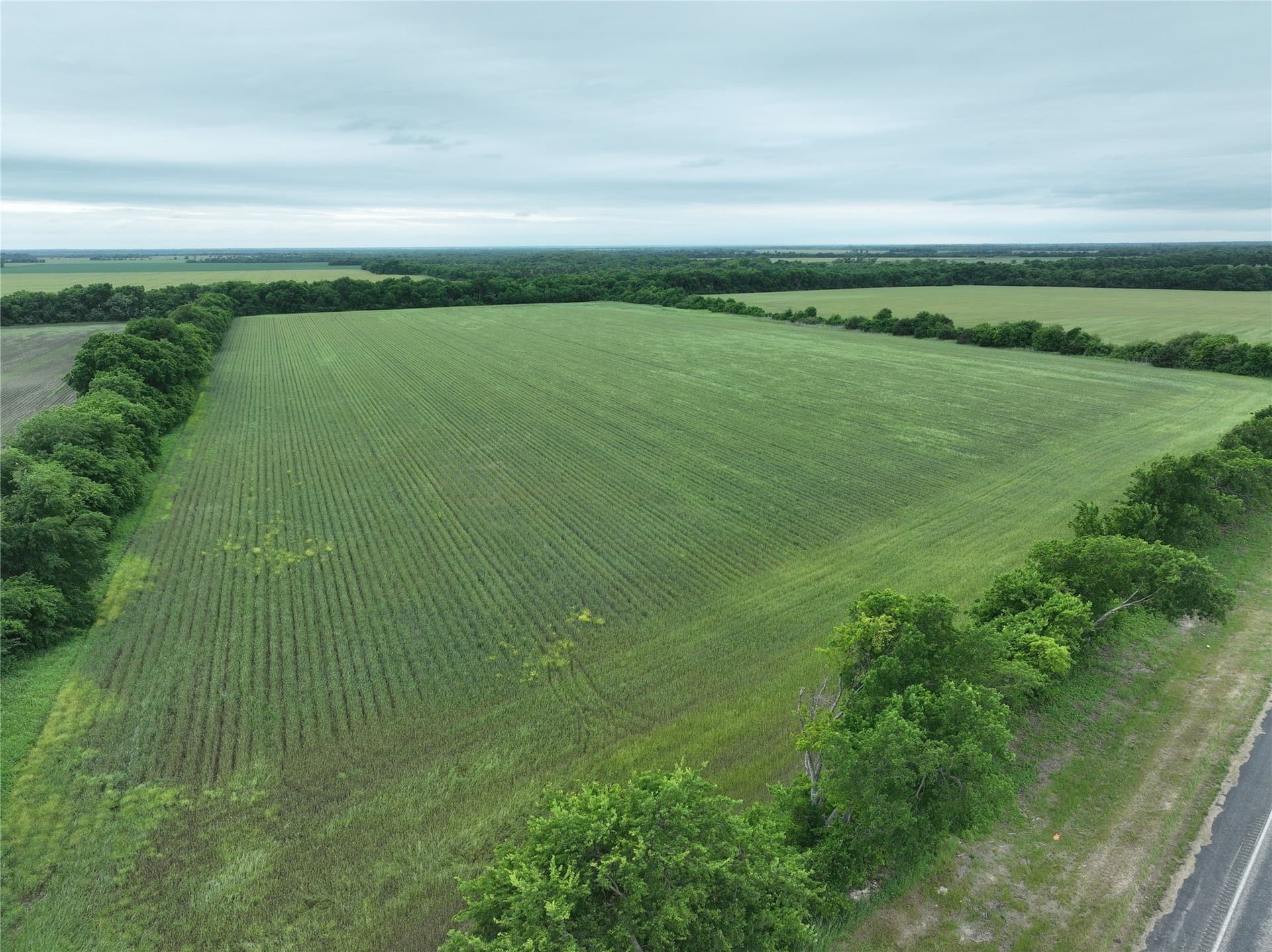 27 acres in Fannin County - photo 12
