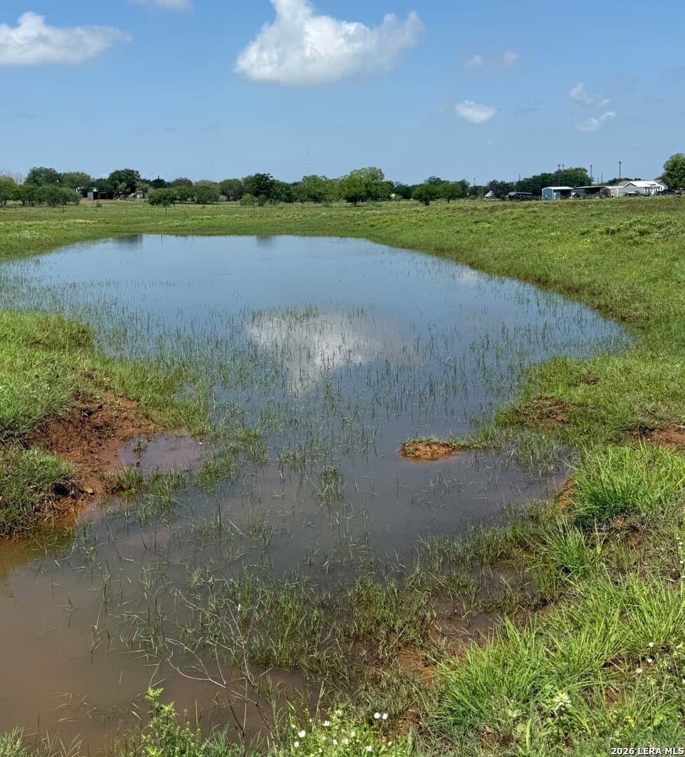 10.01 acres in Wilson County gallery image 3