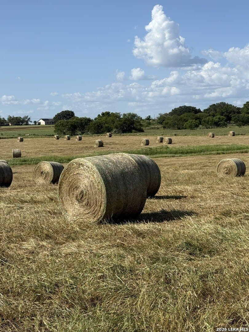 10.01 acres in Wilson County - photo 7