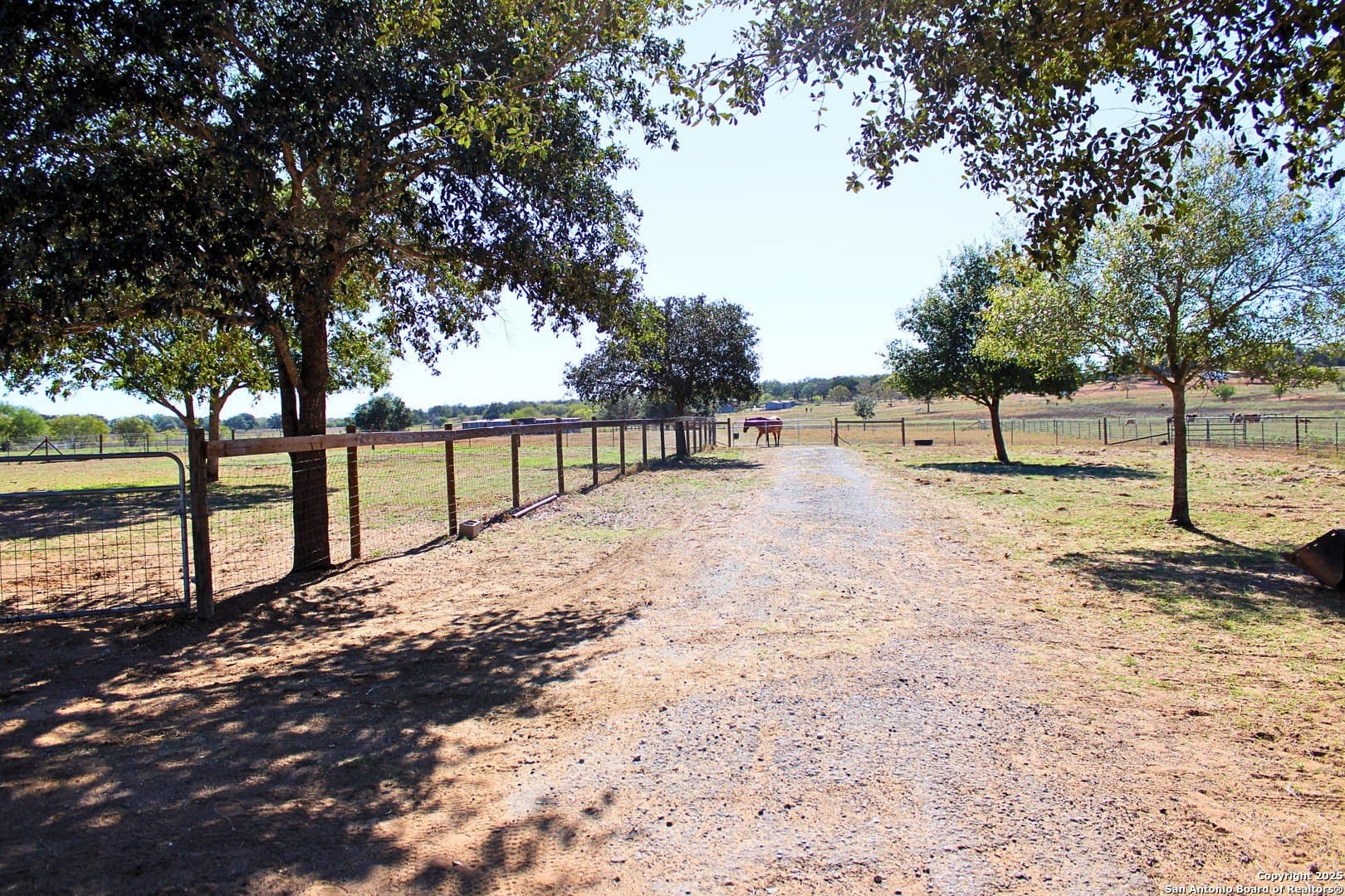 10.01 acres in Wilson County - photo 11