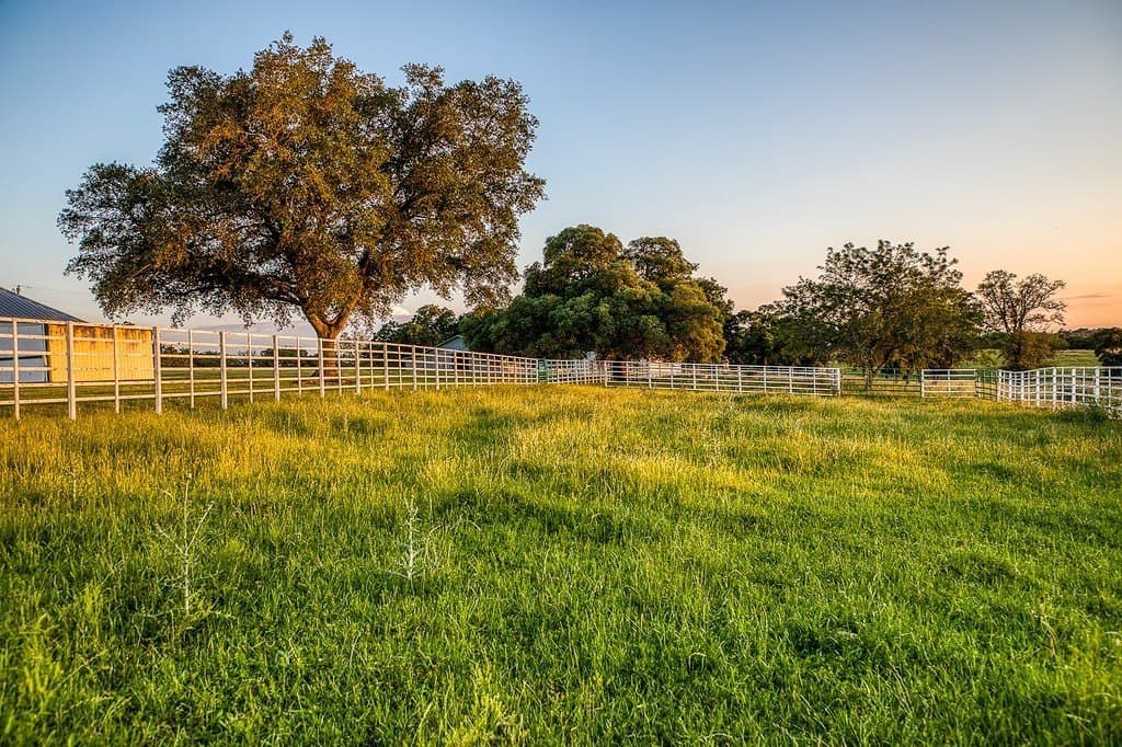 114 acres in Washington County - photo 25