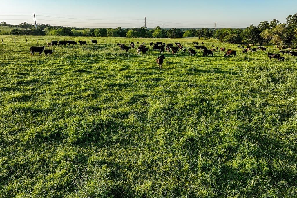 114 acres in Washington County - photo 19