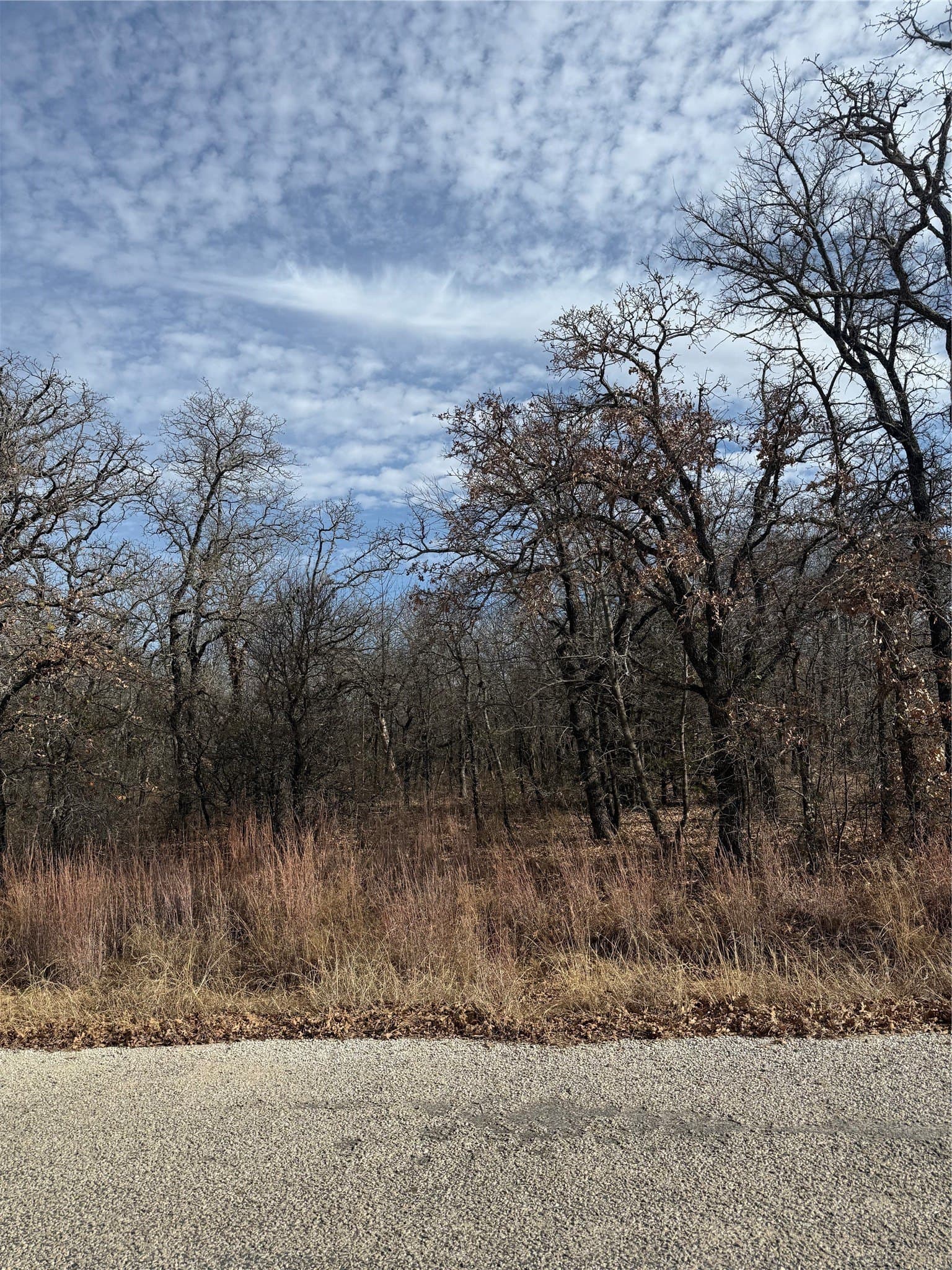 0.32 acres in Wise County gallery image 4