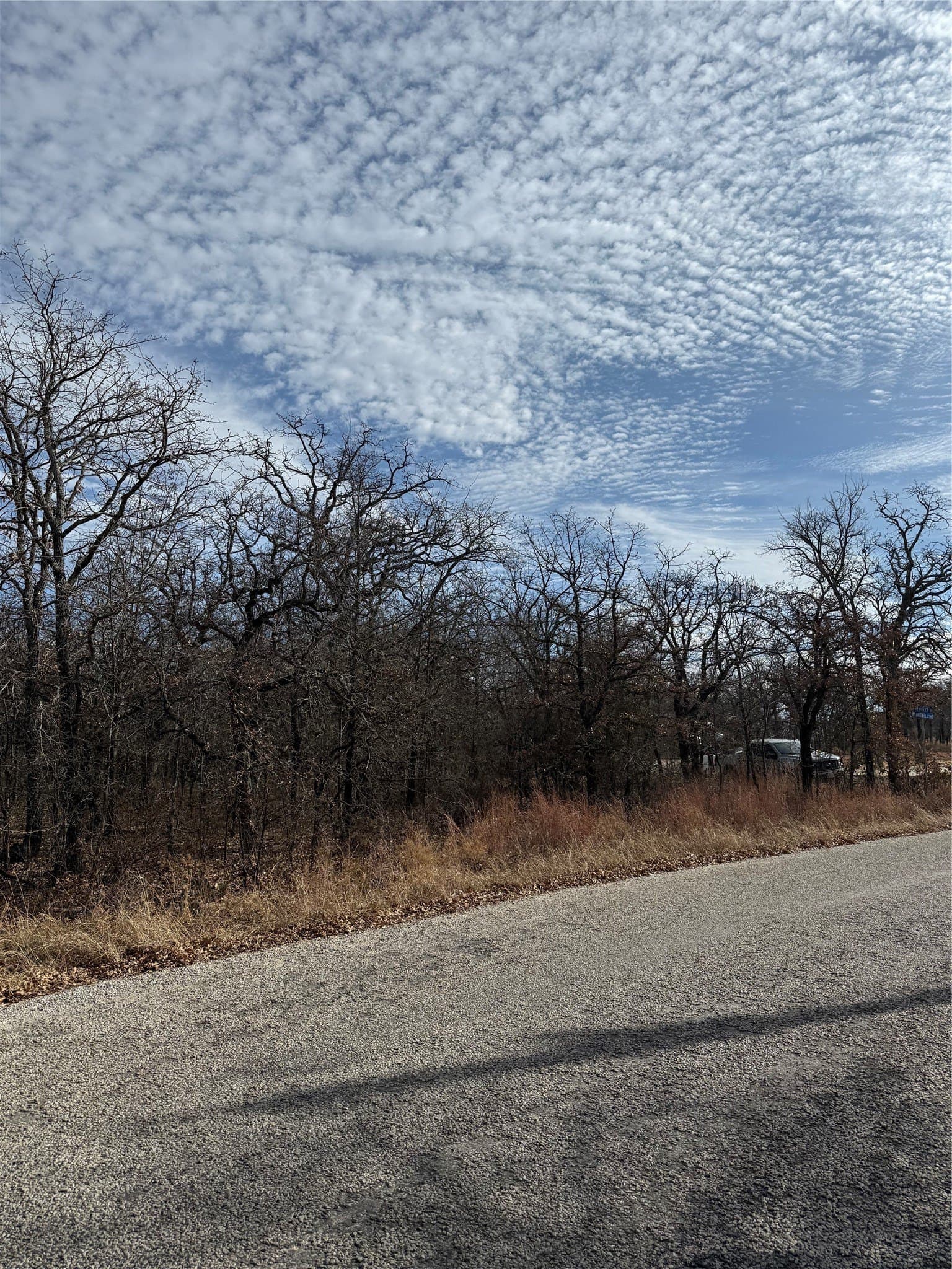 0.32 acres in Wise County - photo 11