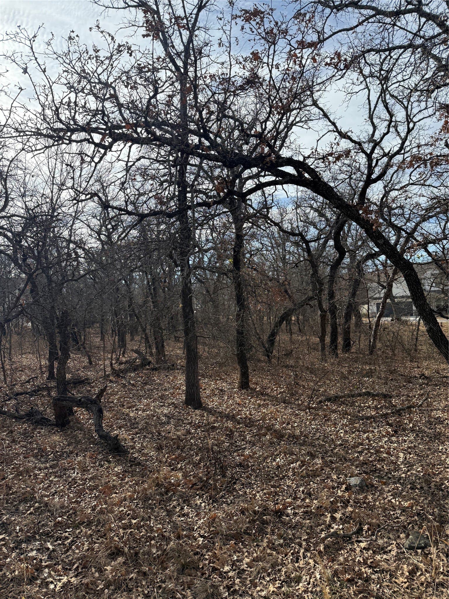 0.32 acres in Wise County - photo 8