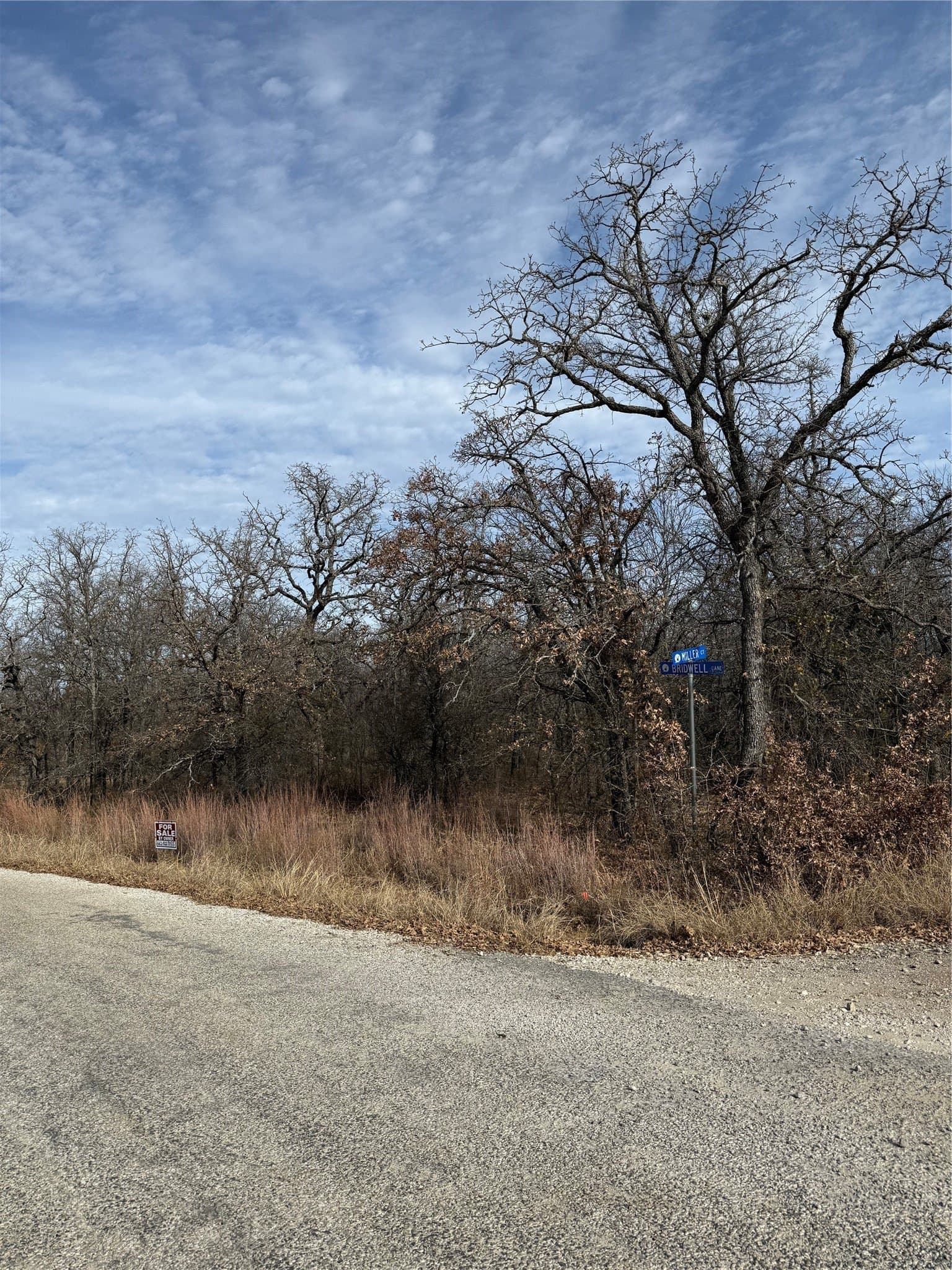 0.32 acres in Wise County gallery image 2