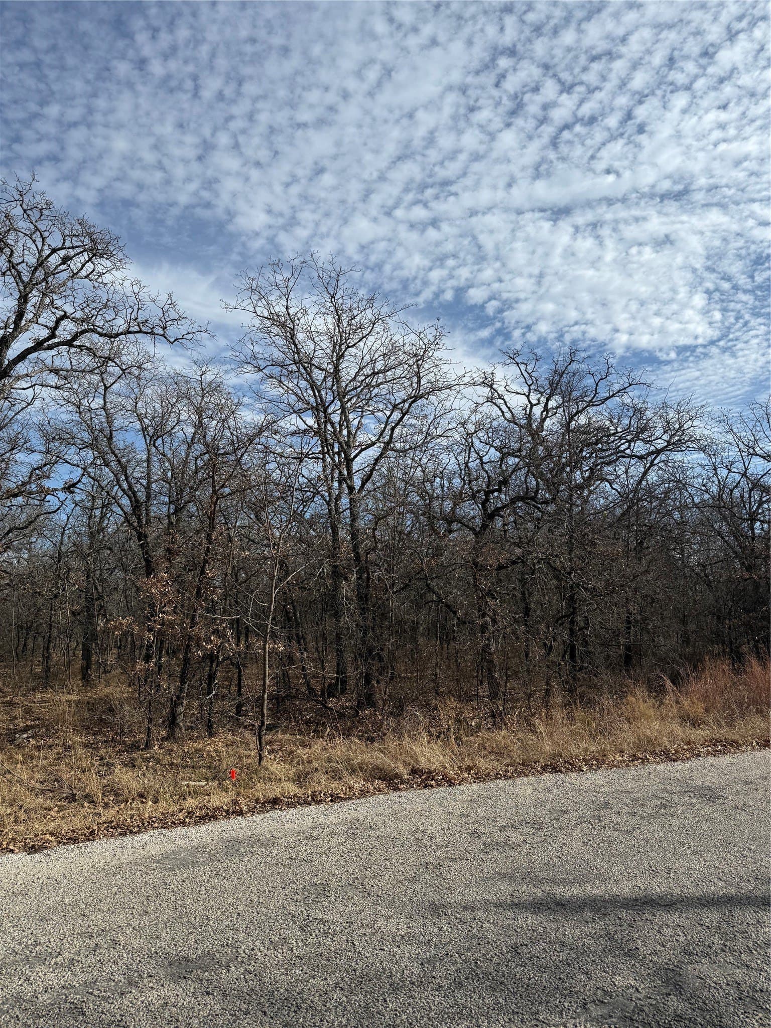 0.32 acres in Wise County featured view