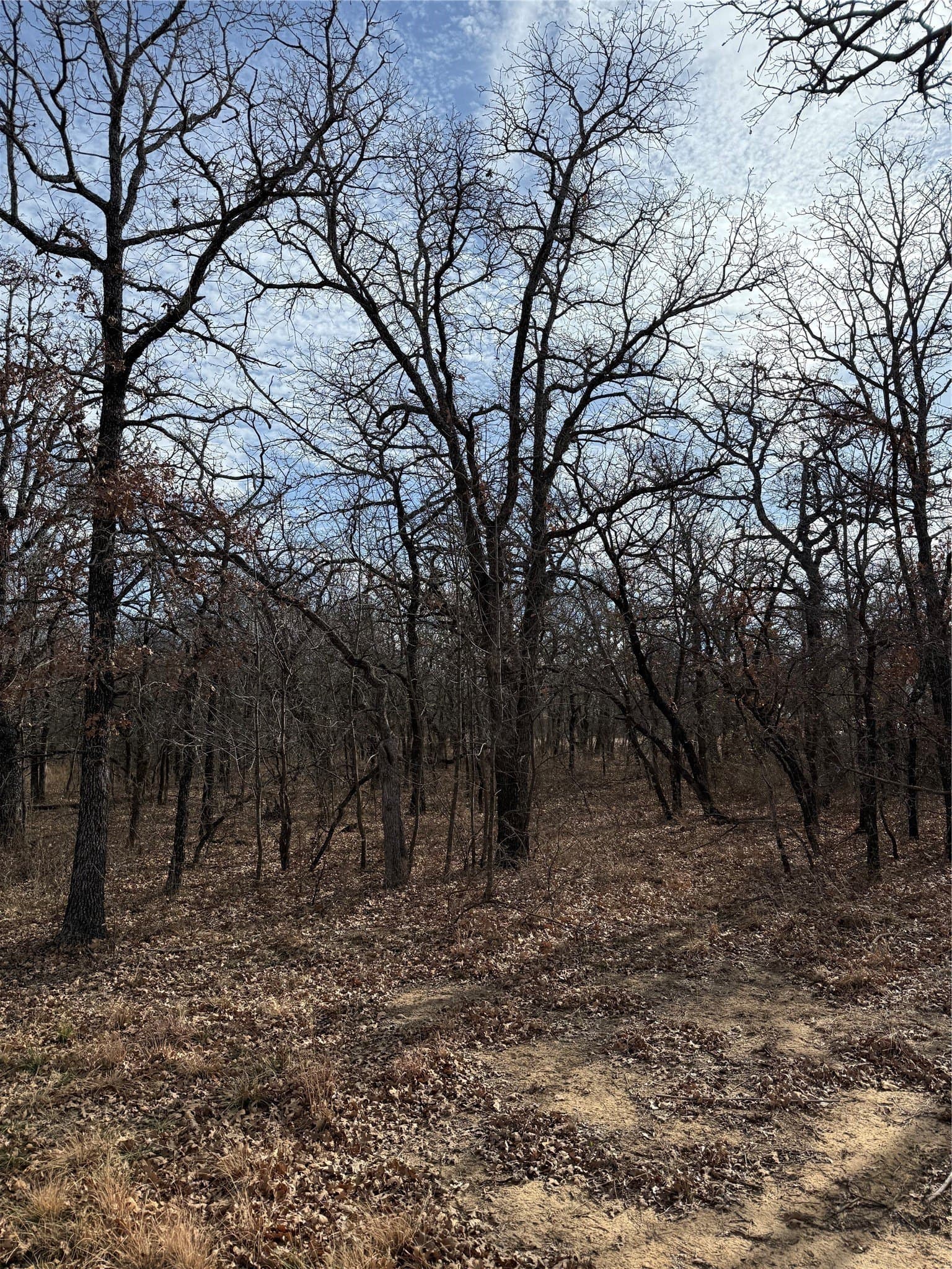 0.32 acres in Wise County - photo 7