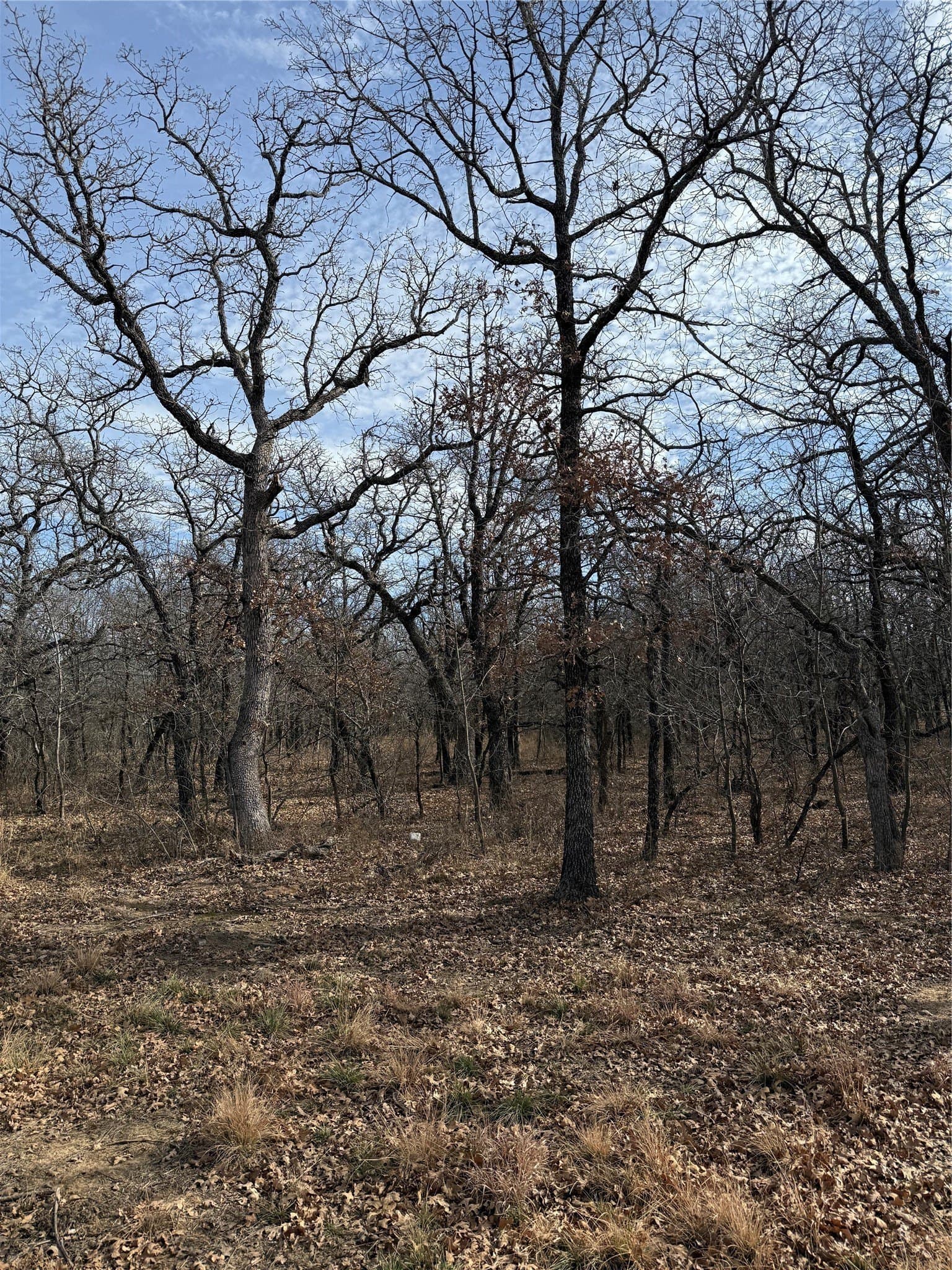0.32 acres in Wise County - photo 6