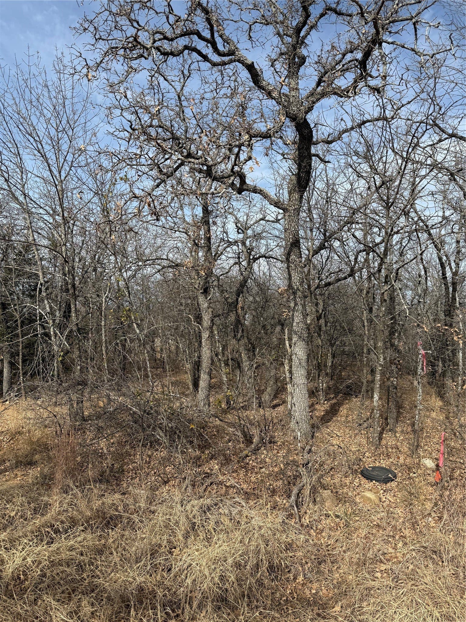 0.32 acres in Wise County - photo 10
