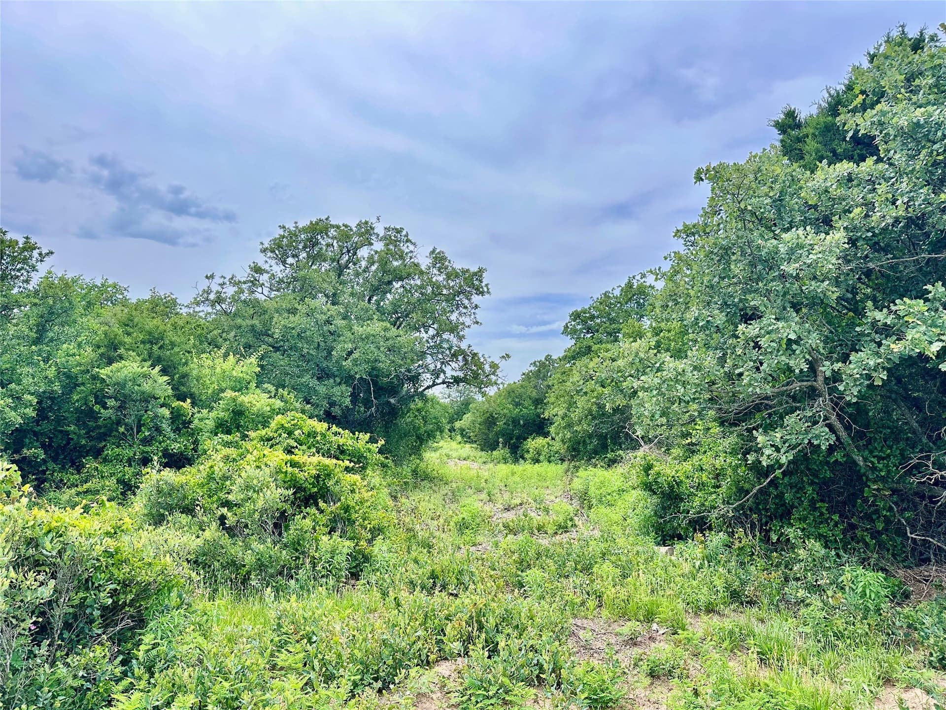 41.72 acres in Callahan County - photo 7