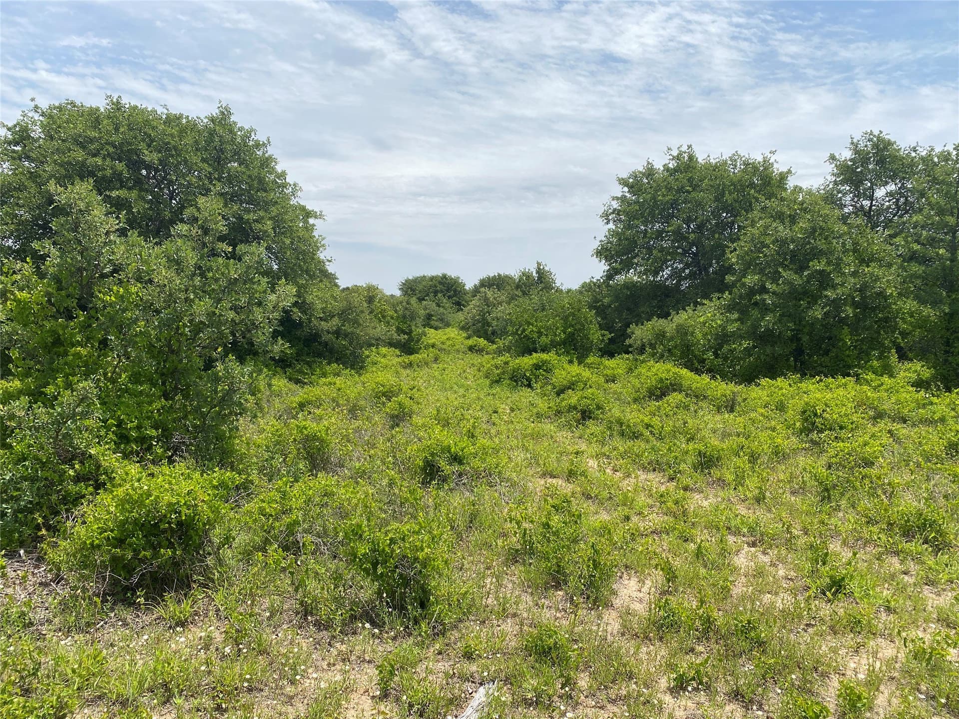 41.72 acres in Callahan County - photo 28