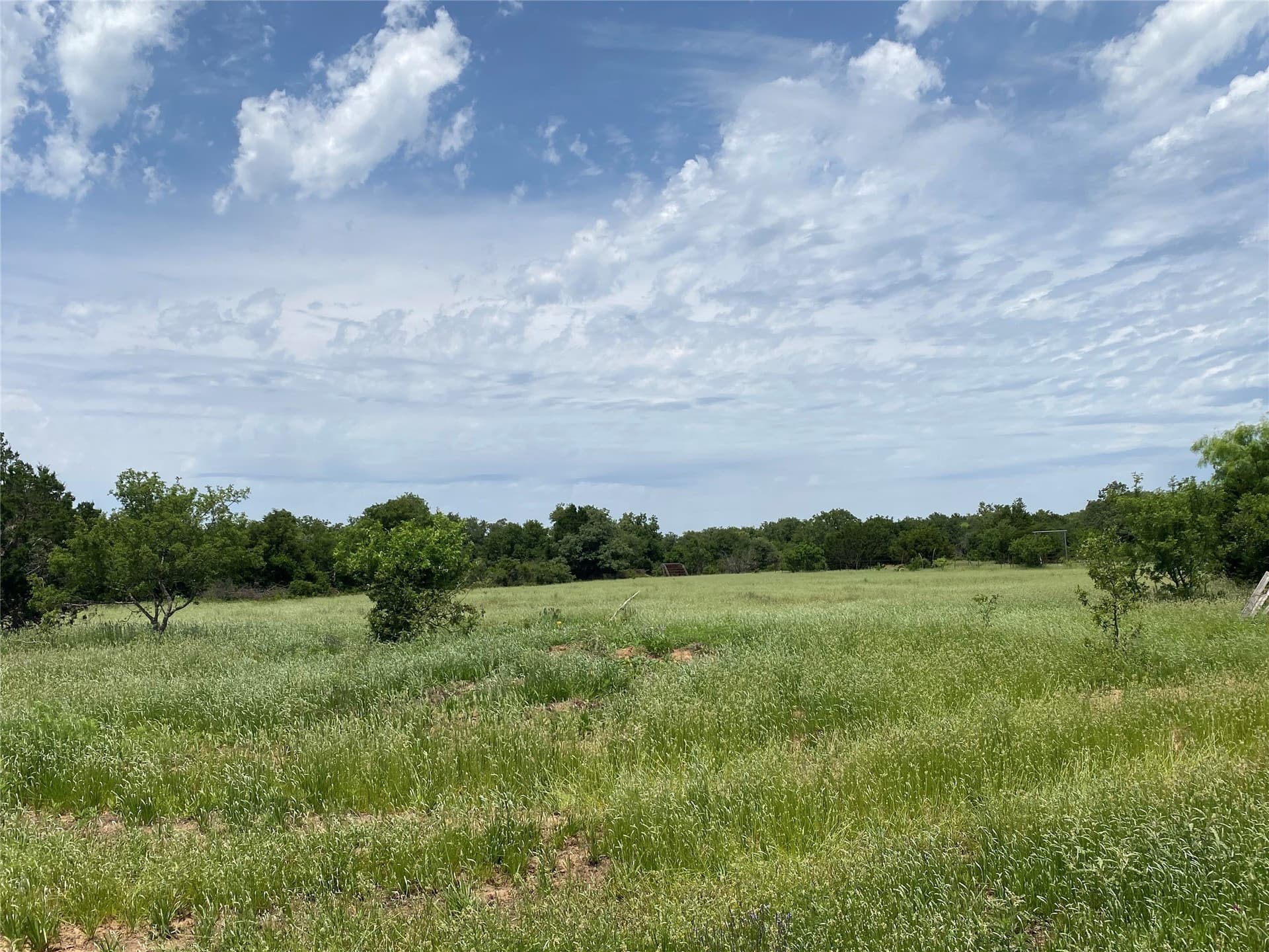 41.72 acres in Callahan County - photo 22