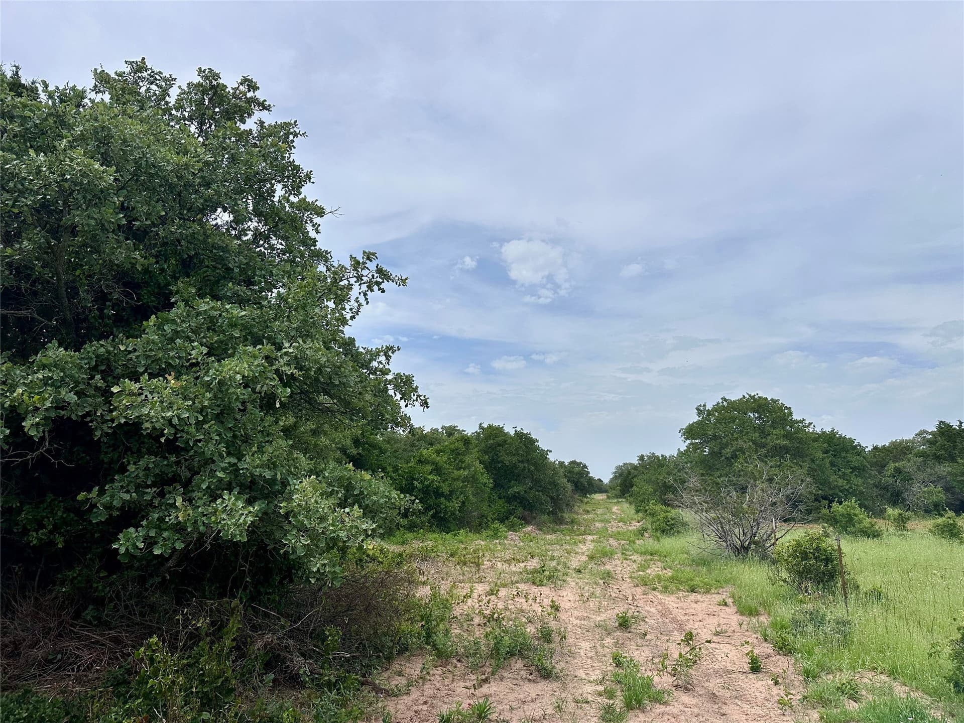 41.72 acres in Callahan County - photo 8