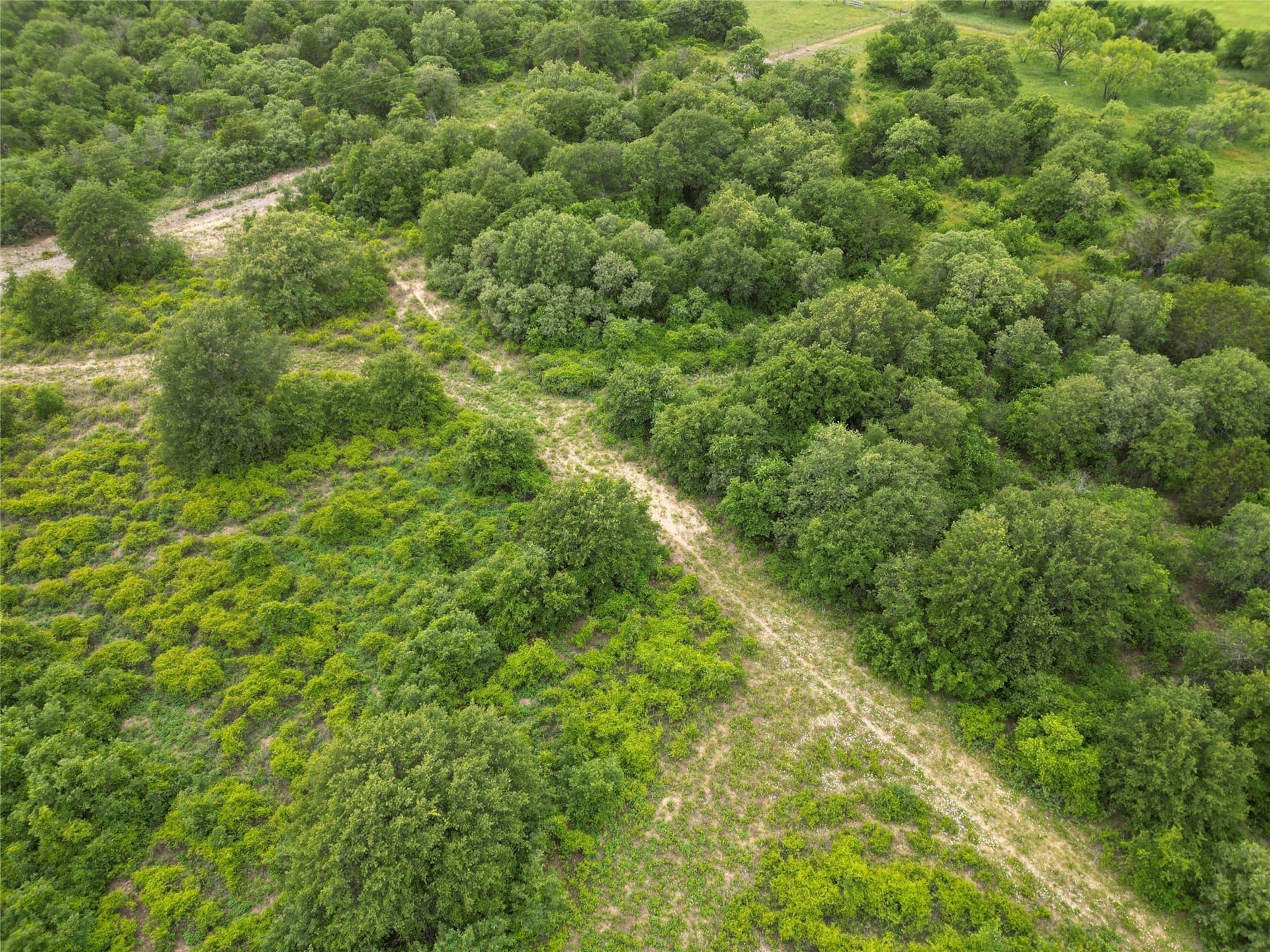 41.72 acres in Callahan County - photo 6