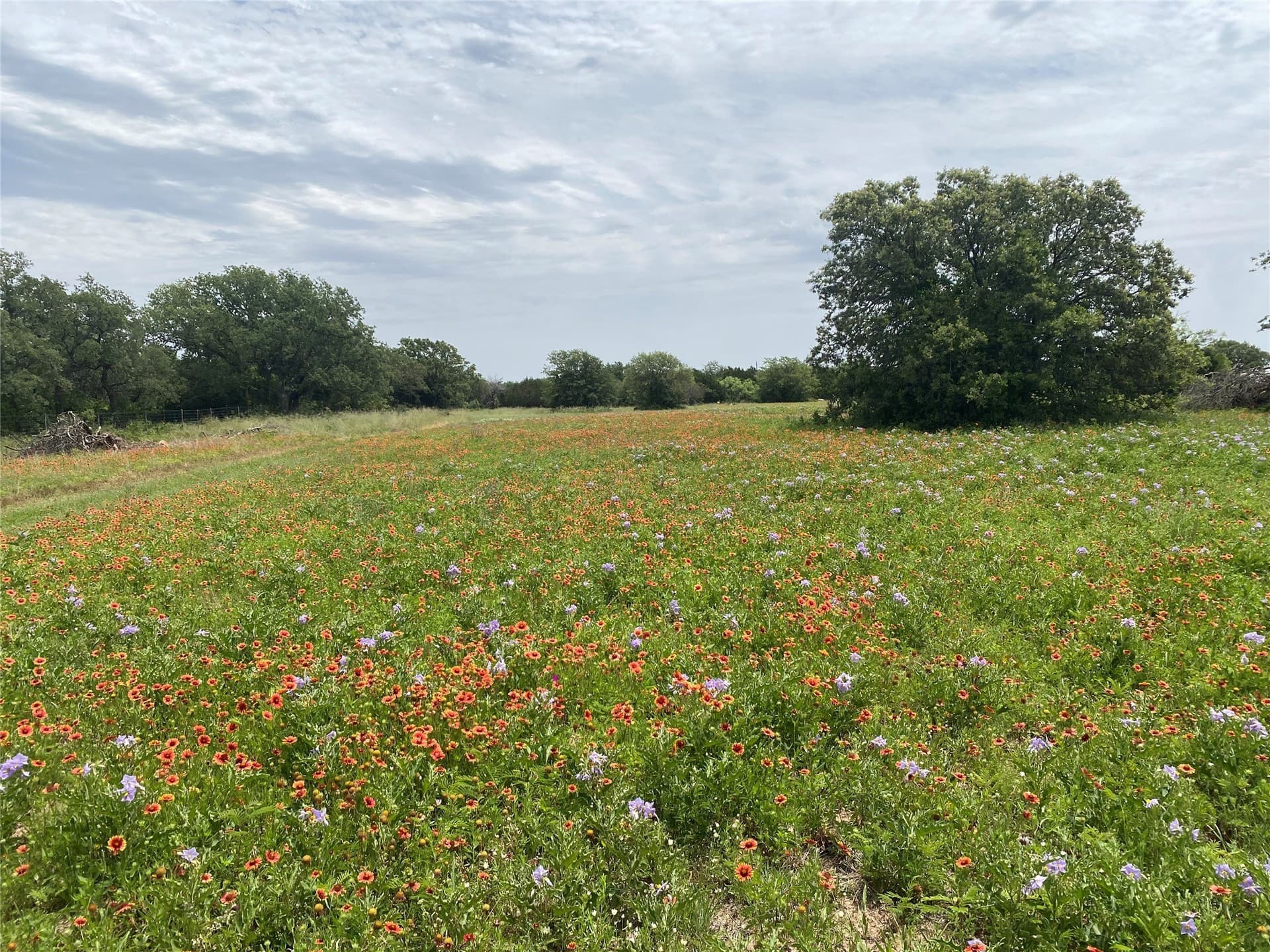 41.72 acres in Callahan County - photo 11