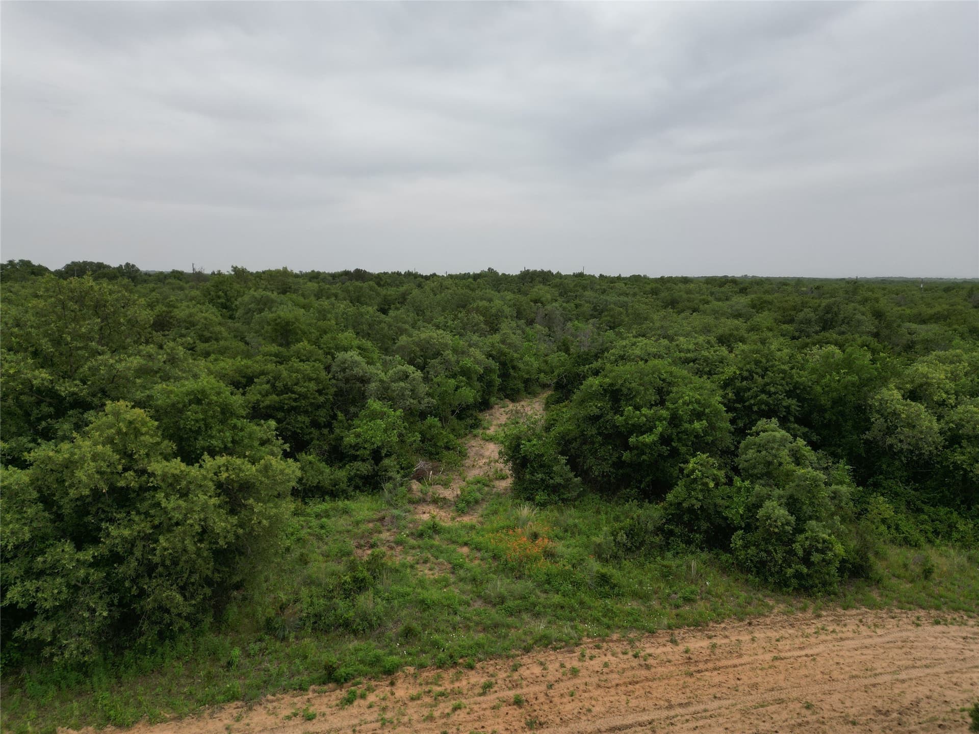 41.72 acres in Callahan County - photo 12