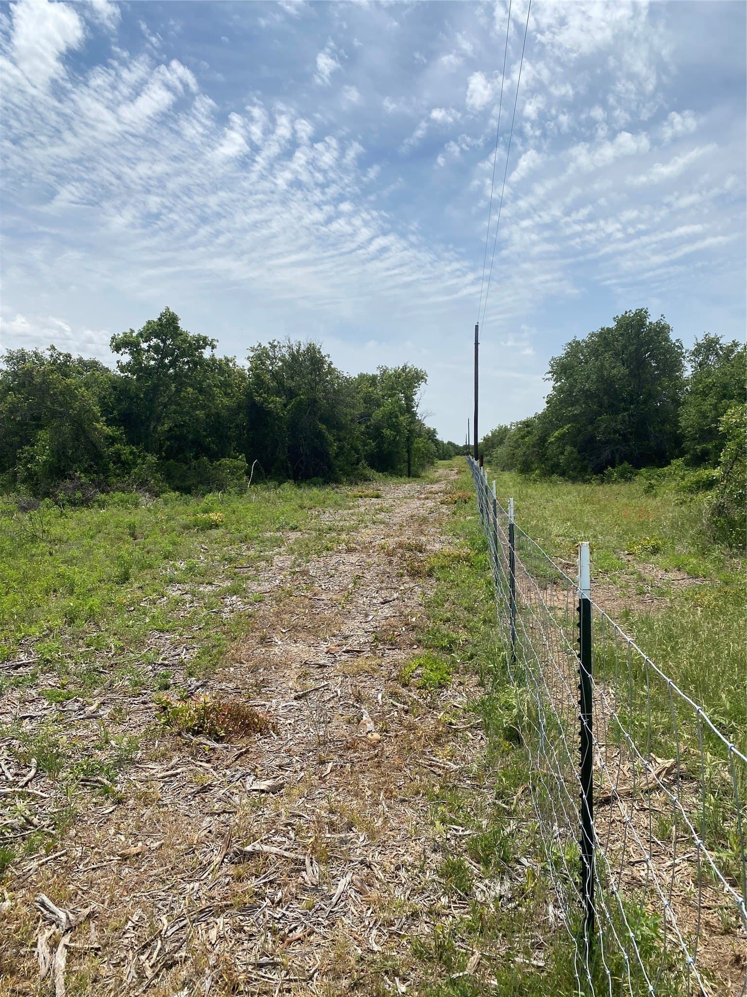 41.72 acres in Callahan County - photo 21