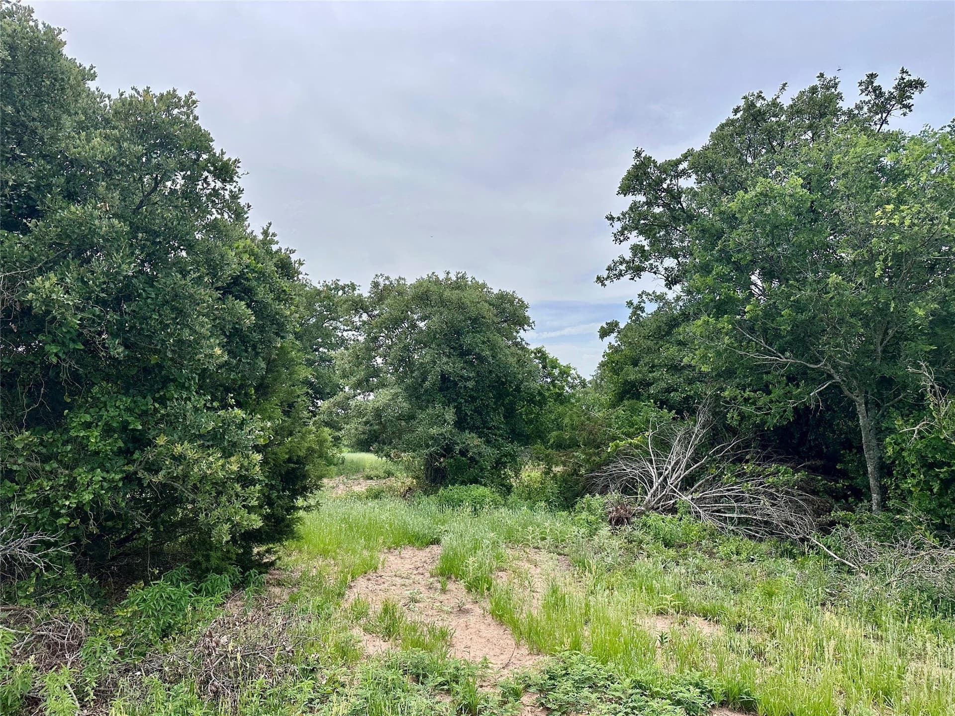 41.72 acres in Callahan County - photo 29